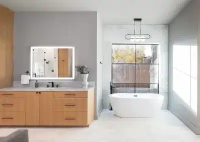 Contemporary Bathroom Renovation