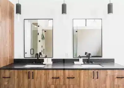 Contemporary and Transitional Bathroom